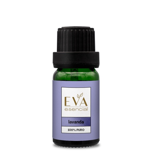 Lavanda Aceite Eva Esencial